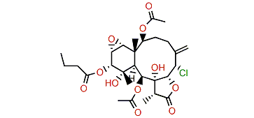 3,4-Dihydro-11-hydroxybrianthein U